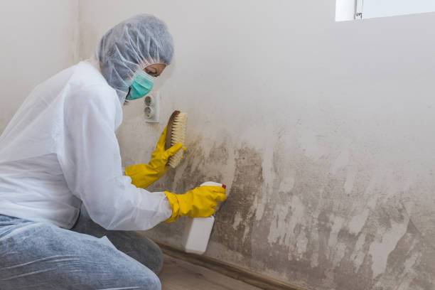 Mold Testing and Removal in Lincolnton, NC